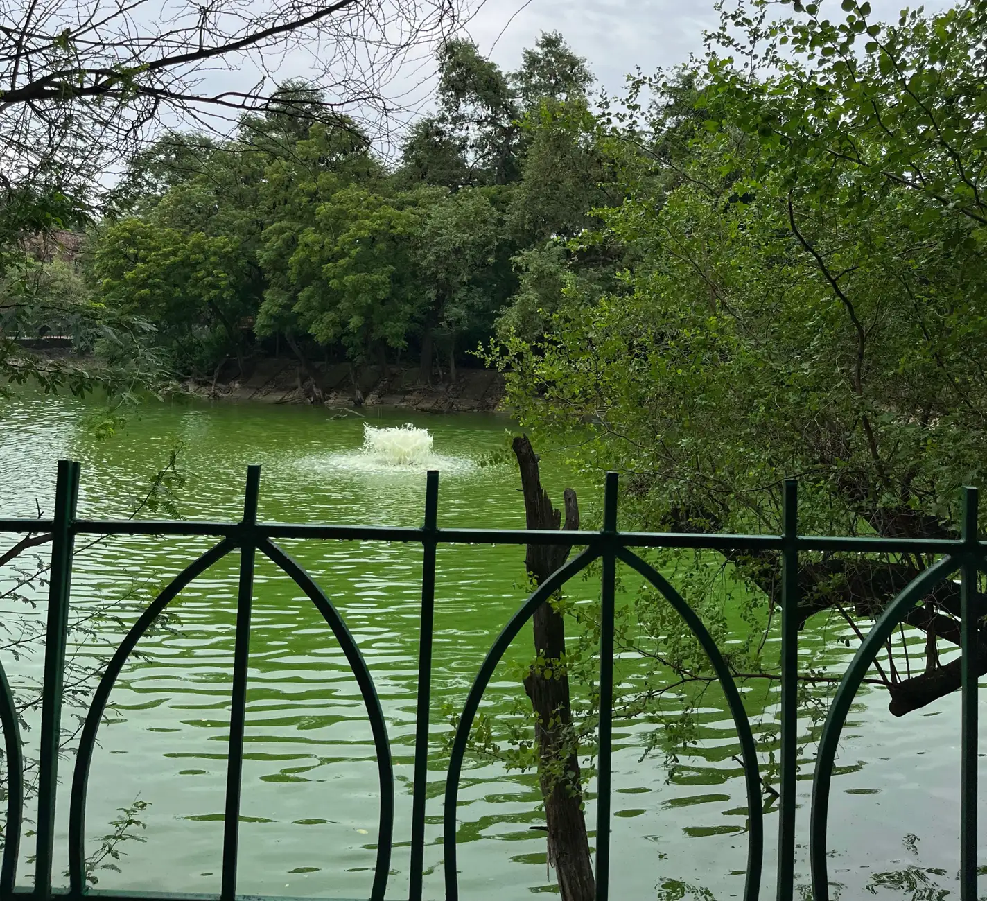 Secrets of Delhi Sultanate: Guided Tour of Hauz Khas.